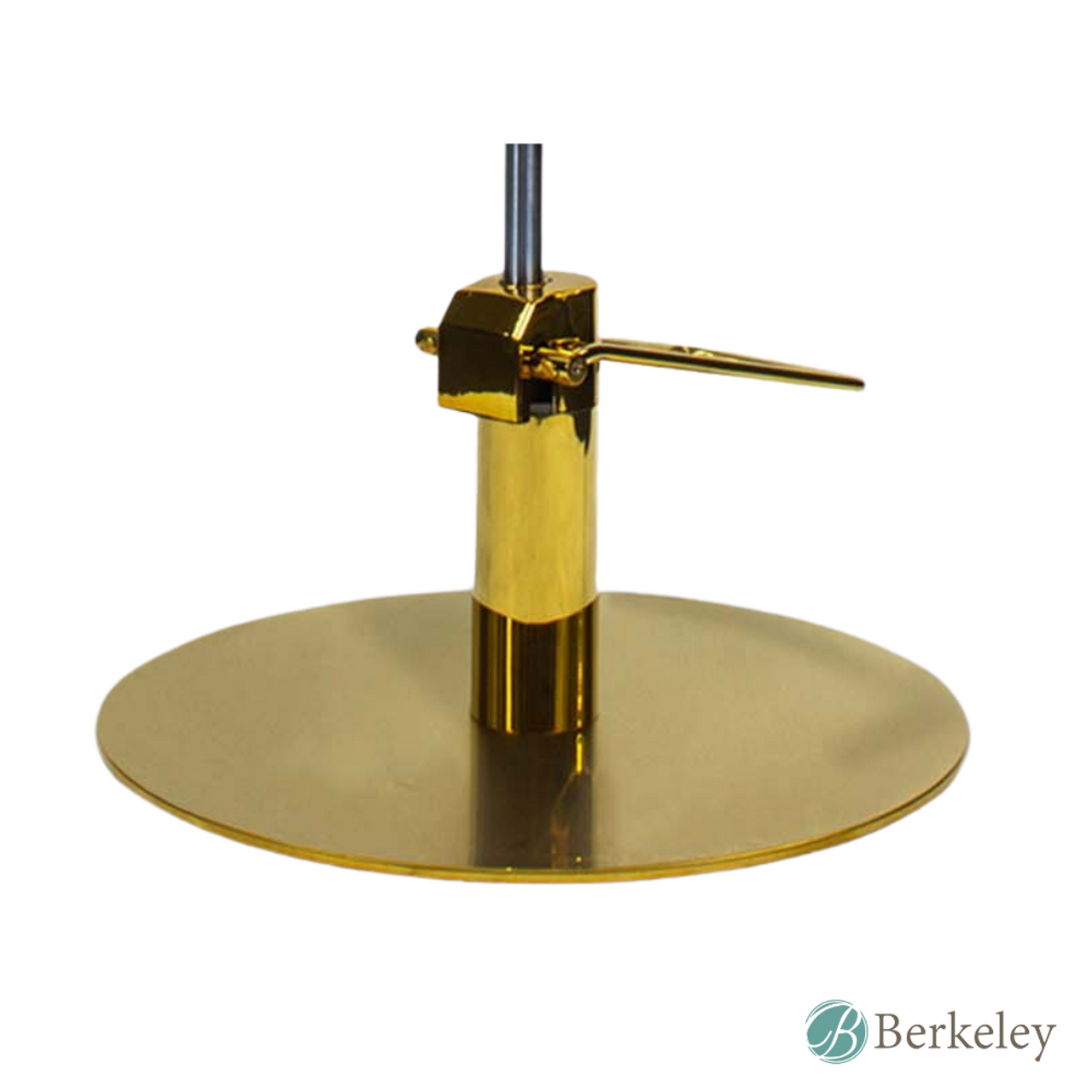Kit de base y bomba para sillón de peluquería A59 (dorado)