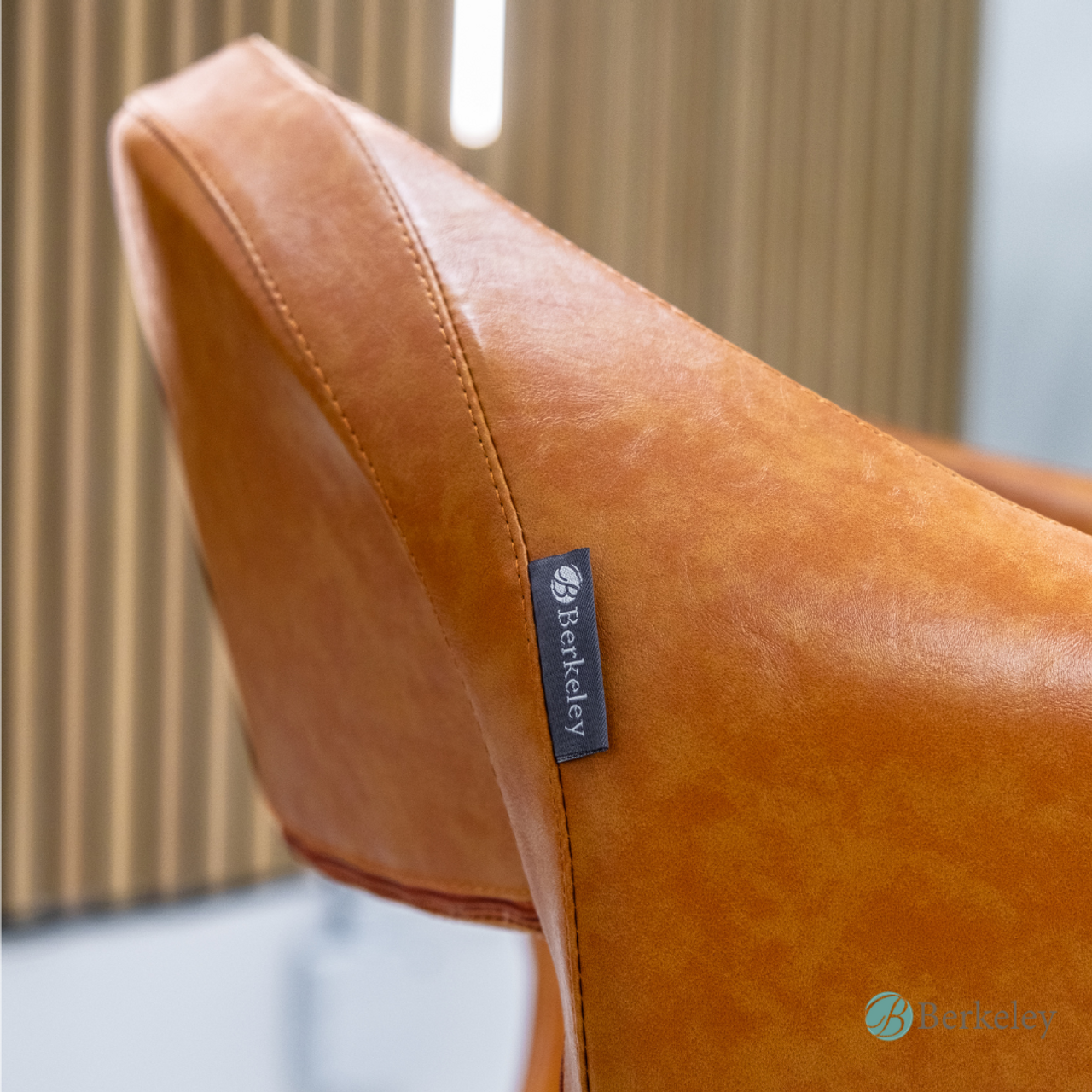 MILLA Styling Chair w/ A58 Pump by Berkeley