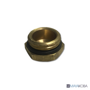 Plumbing Plub 1/2"