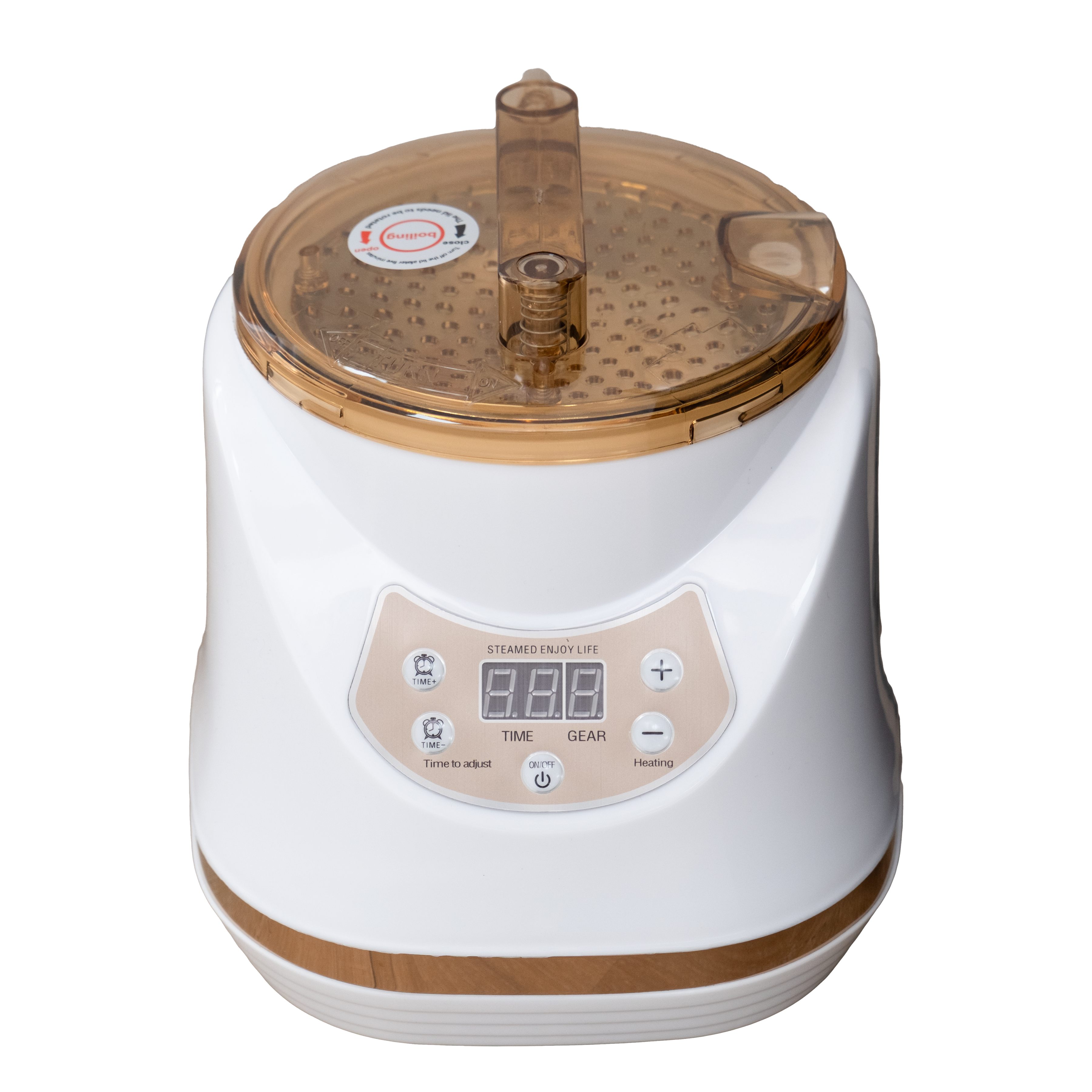 Head Spa Fumigator/Steamer