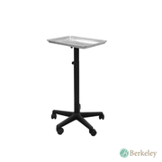 BAILEY Aluminium Service / Tattoo Tray by Berkeley