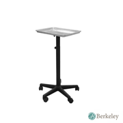 BAILEY Aluminium Service / Tattoo Tray by Berkeley
